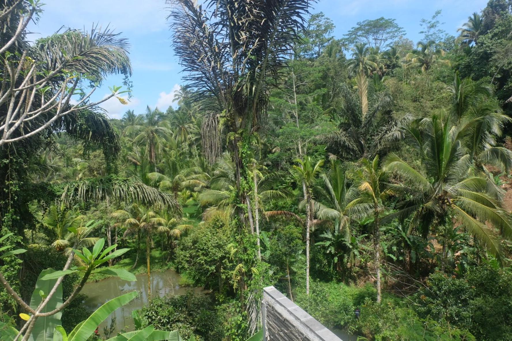 Villa Gunung Kawi House à Tegallalang  Extérieur photo